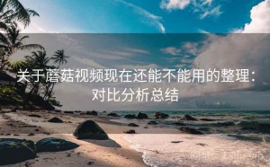 关于蘑菇视频现在还能不能用的整理：对比分析总结