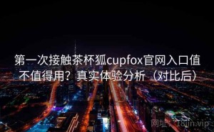 第一次接触茶杯狐cupfox官网入口值不值得用？真实体验分析（对比后）