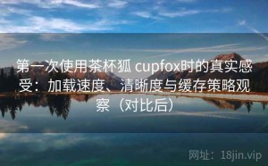 第一次使用茶杯狐 cupfox时的真实感受：加载速度、清晰度与缓存策略观察（对比后）