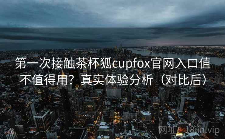 第一次接触茶杯狐cupfox官网入口值不值得用？真实体验分析（对比后）