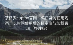 茶杯狐cupfox官网｜偏日常的使用观察：长时间使用后的稳定性与加载表现（整理版）