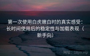 第一次使用白虎嫩白时的真实感受：长时间使用后的稳定性与加载表现（新手向）