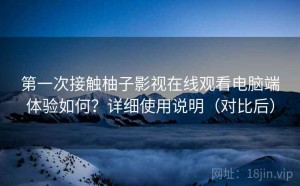第一次接触柚子影视在线观看电脑端体验如何？详细使用说明（对比后）