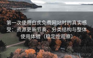 第一次使用白虎免费网站时的真实感受：资源更新节奏、分类结构与整体使用体验（稳定性观察）