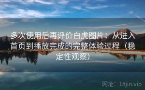 多次使用后再评价白虎图片：从进入首页到播放完成的完整体验过程（稳定性观察）