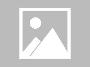 黑料网到底有没有替代方案？新手避坑指南，黑料网 rmvb 下载