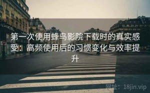 第一次使用蜂鸟影院下载时的真实感受：高频使用后的习惯变化与效率提升