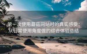 第一次使用蘑菇网站时的真实感受：从日常使用角度做的综合体验总结