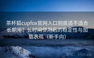 茶杯狐cupfox官网入口到底适不适合长期用？长时间使用后的稳定性与加载表现（新手向）