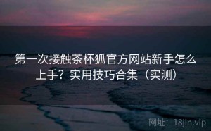 第一次接触茶杯狐官方网站新手怎么上手？实用技巧合集（实测）