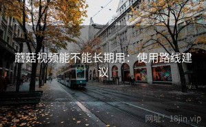 蘑菇视频能不能长期用：使用路线建议