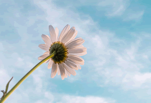 柚子影视到底加载速度怎么样？对比分析总结（对比后），柚子影视app可靠吗