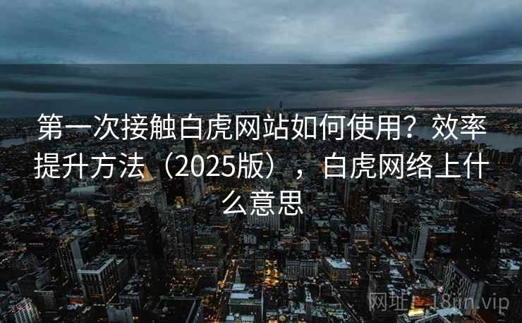 第一次接触白虎网站如何使用？效率提升方法（2025版），白虎网络上什么意思