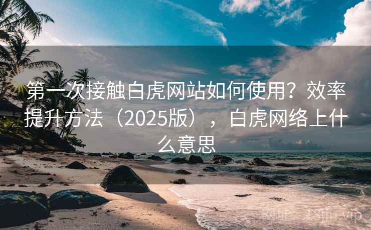 第一次接触白虎网站如何使用？效率提升方法（2025版），白虎网络上什么意思