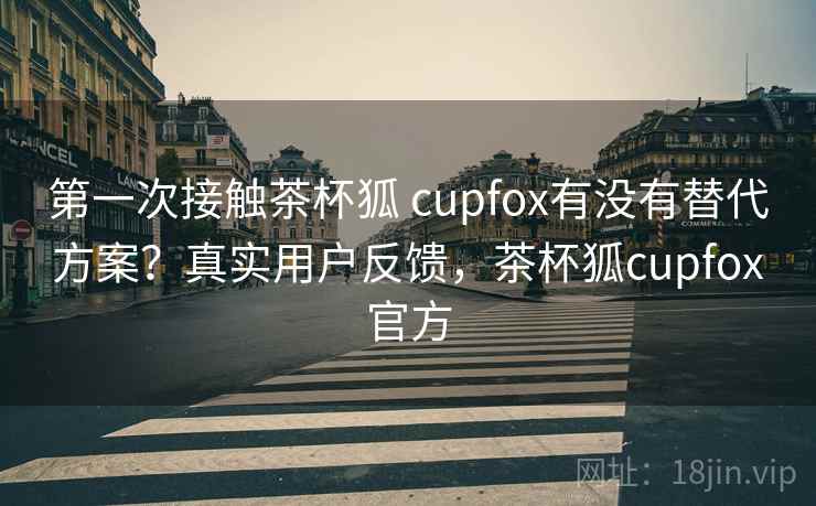 第一次接触茶杯狐 cupfox有没有替代方案？真实用户反馈，茶杯狐cupfox官方