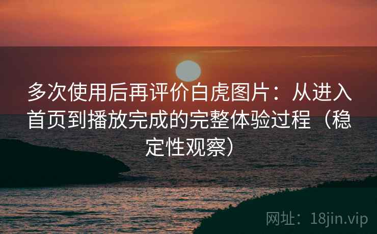 多次使用后再评价白虎图片：从进入首页到播放完成的完整体验过程（稳定性观察）