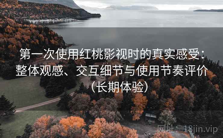 第一次使用红桃影视时的真实感受：整体观感、交互细节与使用节奏评价（长期体验）