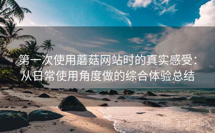 第一次使用蘑菇网站时的真实感受：从日常使用角度做的综合体验总结